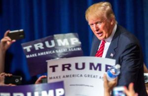 553x0-1ce844871cb110c18641baffa6716e92