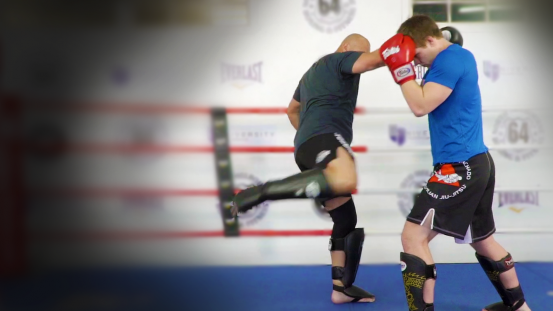 553x0-7528ec6f1eead46a07da00b2861dbeb0