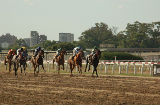 553x0-8271d7395db2409071112532a1cd8d96