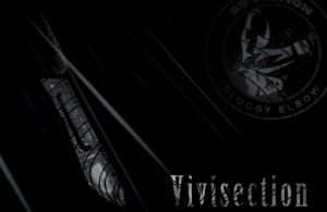 553x0-b0bace963e14dcfee99324d2f6ba029f