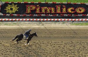 553x0-0147a3f8dc466632f78a25cec9b5e233