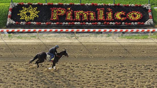 553x0-0147a3f8dc466632f78a25cec9b5e233