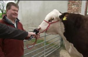 553x0-16555c04114ca6b97c0179af9105d540