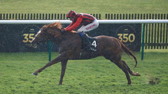 553x0-4c140852b6d263e1324dd630e348a01a