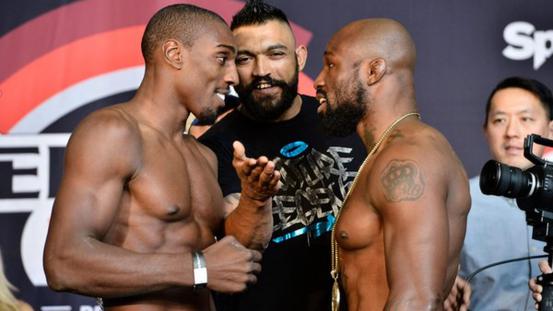 553x0-63029df30a47d0d6849ee4c5117ad331