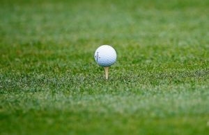 553x0-65ea4f3b8a95b7e9f1dca023ade04e93