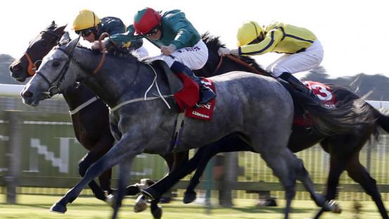 553x0-690f0d398ce9ef2d572c5d4627d09ac0