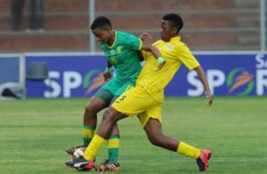 553x0-8e43a3dae328e82a63c58f9b8e97138b