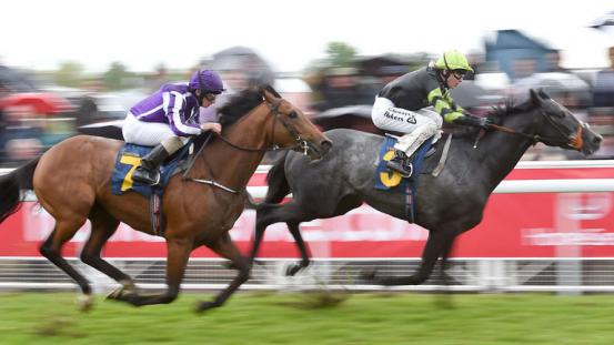 553x0-a2e34a689899cdab7781313af6c2c1e1