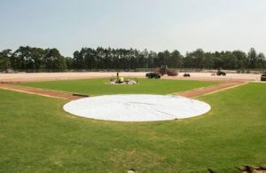 553x0-a635a12dd0c76c1e0b7c05194294dd8e