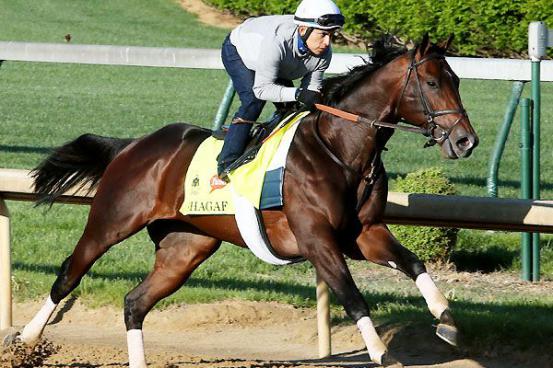 553x0-abe8dd611450322a5d98ade0ff65d8f3