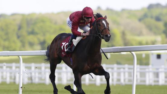 553x0-c9b501fc6926d1dd209d87c083eb1a2e