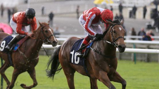 553x0-cad4cf6efb05ecfb1140ae892e044455