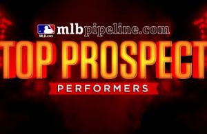 553x0-e781d52c30cd87c0f4276172937e2d19