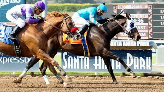 553x0-f638f2f49633b0356e9579a2b4dfd002